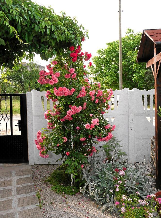 Guest House Medina Belogradchik Exterior foto