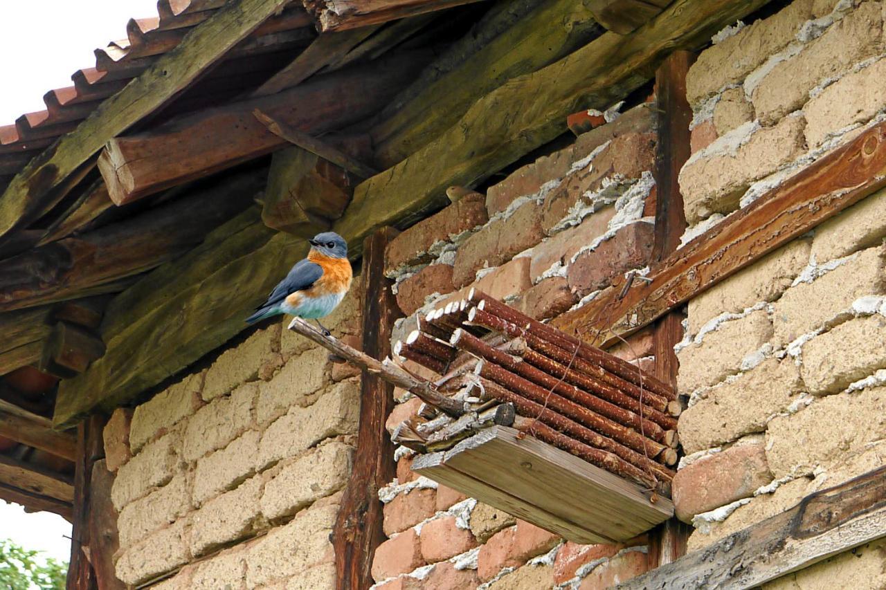 Guest House Medina Belogradchik Exterior foto